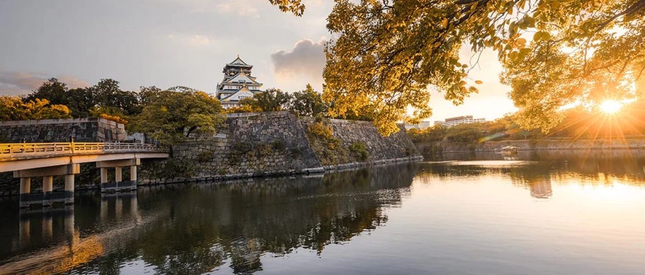 🌸 복숭아 동산(모모엔) 이미지 6